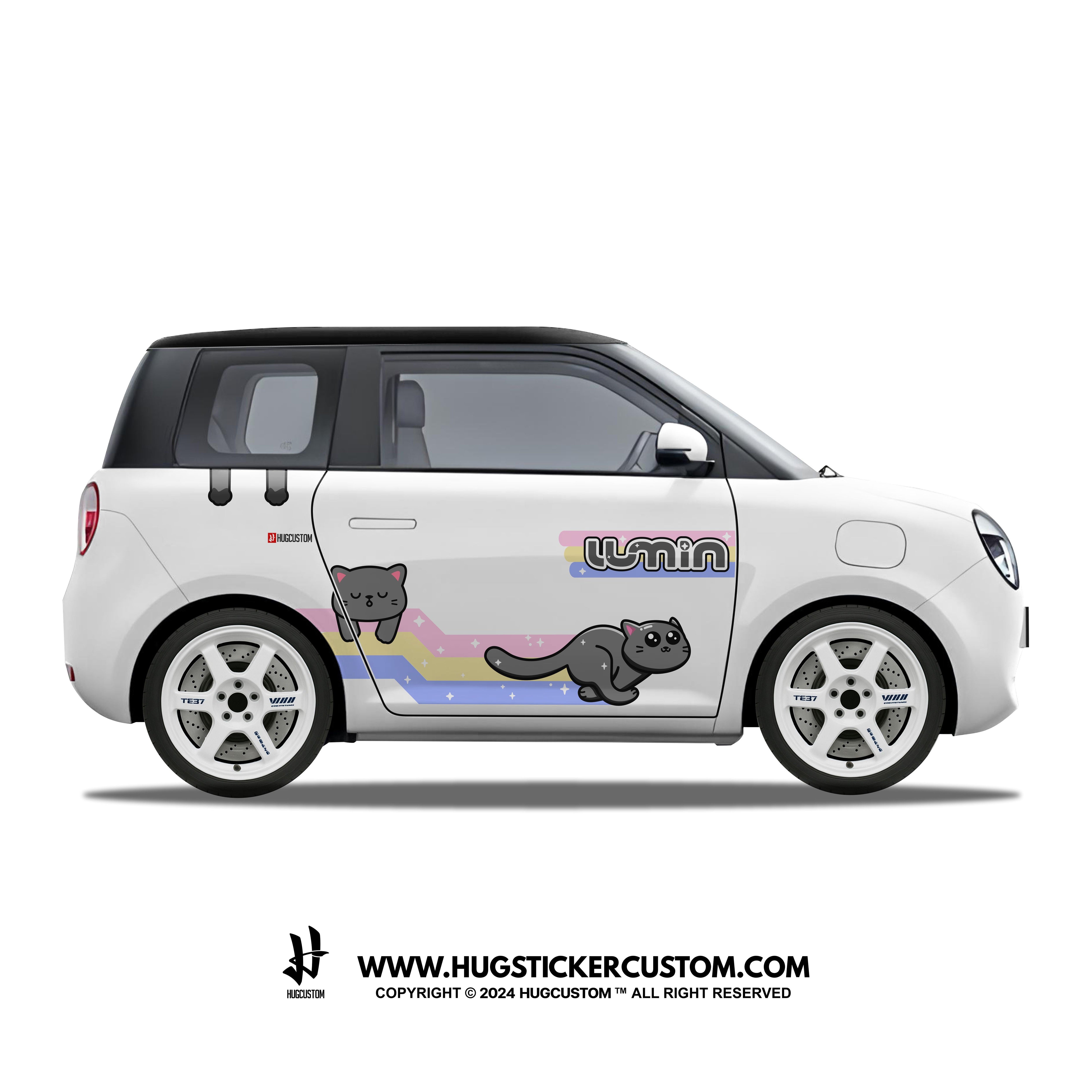 LUMIN Racing Concept "Kitty Cat" Sticker Kit - HUGSTICKERCUSTOM 