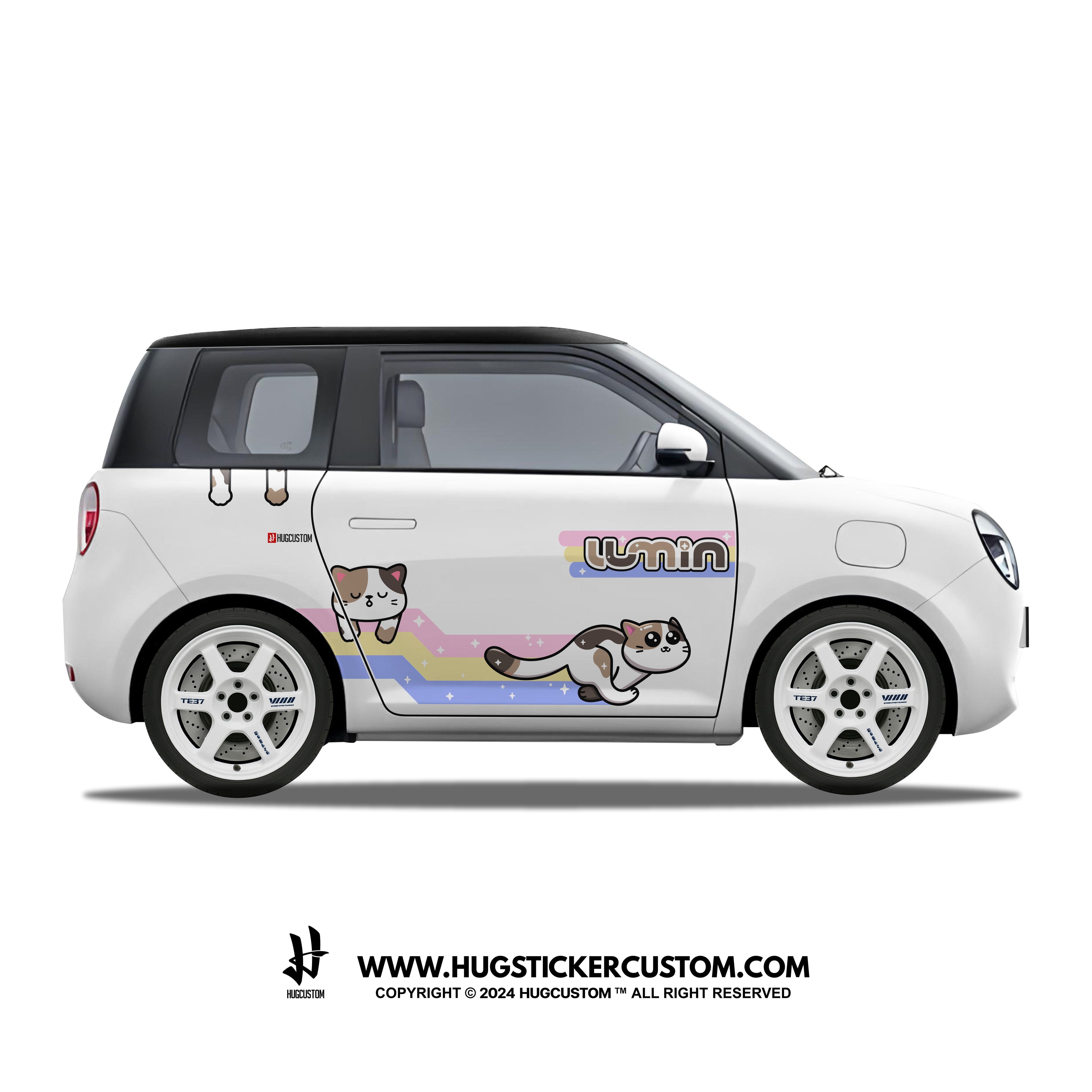 LUMIN Racing Concept "Kitty Cat" Sticker Kit - HUGSTICKERCUSTOM 